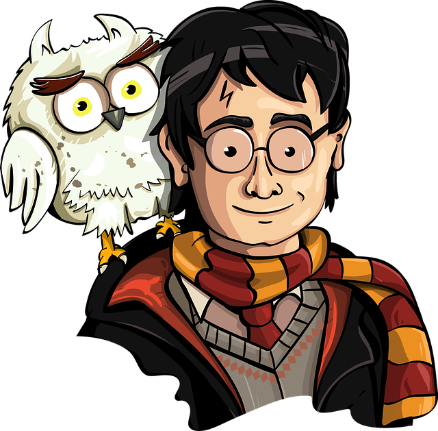 harry potter se sovou