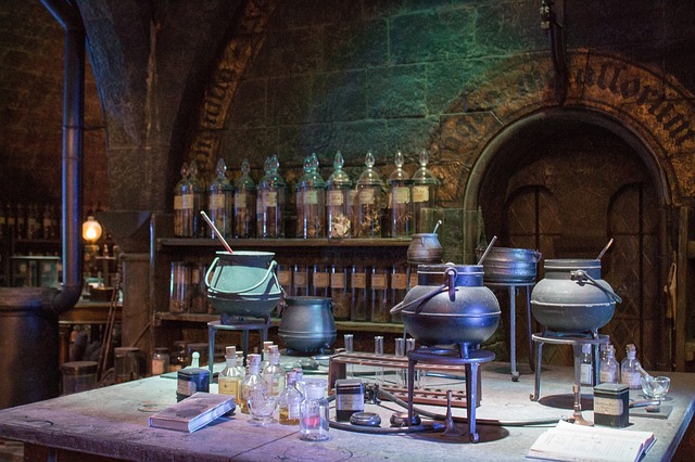 harry potter v bradavicích