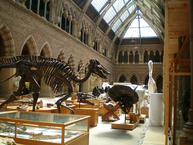 muzeum